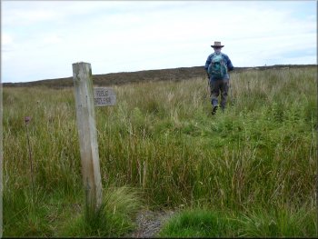 Sign post marking the bridleway to the right pof the road